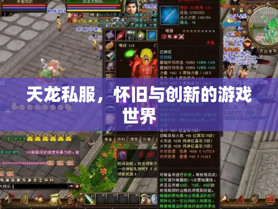 天龙私服，怀旧与创新的游戏世界