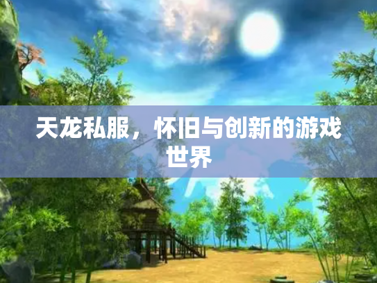天龙私服，怀旧与创新的游戏世界