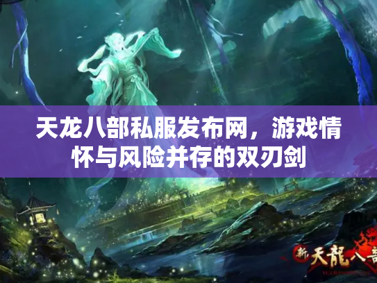 天龙八部私服发布网，游戏情怀与风险并存的双刃剑