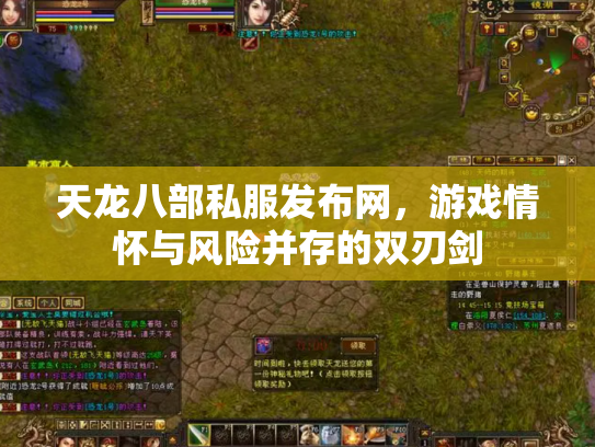 天龙八部私服发布网，游戏情怀与风险并存的双刃剑