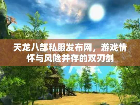 天龙八部私服发布网，游戏情怀与风险并存的双刃剑