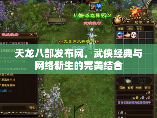 天龙八部发布网，武侠经典与网络新生的完美结合