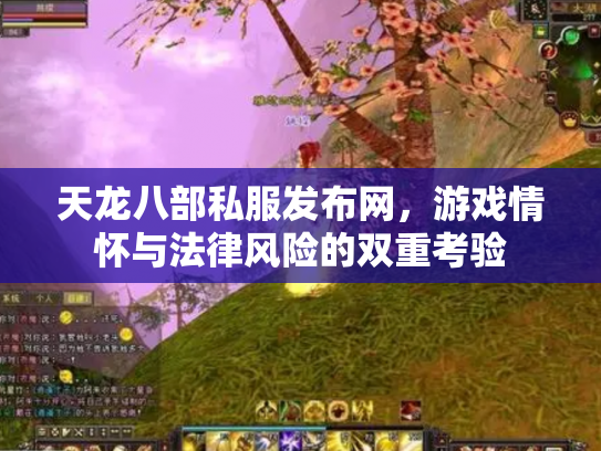 天龙八部私服发布网，游戏情怀与法律风险的双重考验