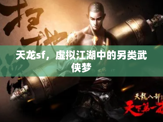 天龙sf，虚拟江湖中的另类武侠梦
