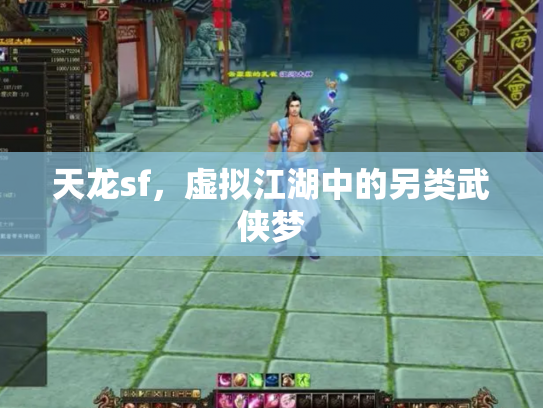 天龙sf，虚拟江湖中的另类武侠梦