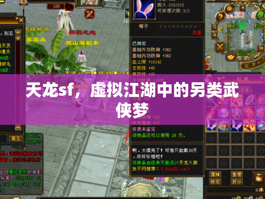 天龙sf，虚拟江湖中的另类武侠梦