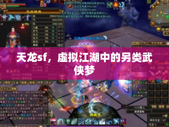 天龙sf，虚拟江湖中的另类武侠梦