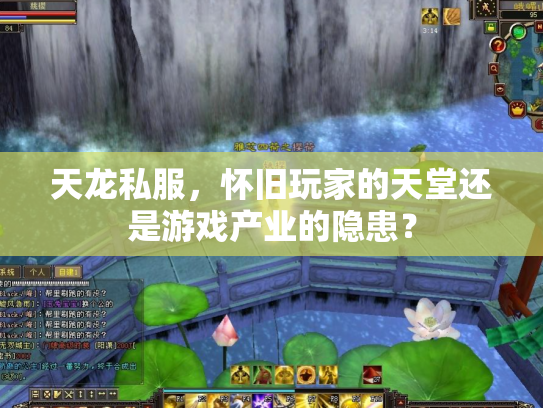 天龙私服，怀旧玩家的天堂还是游戏产业的隐患？