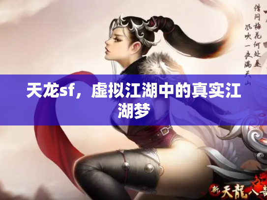 天龙sf，虚拟江湖中的真实江湖梦