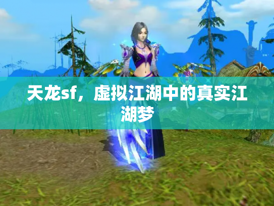 天龙sf，虚拟江湖中的真实江湖梦