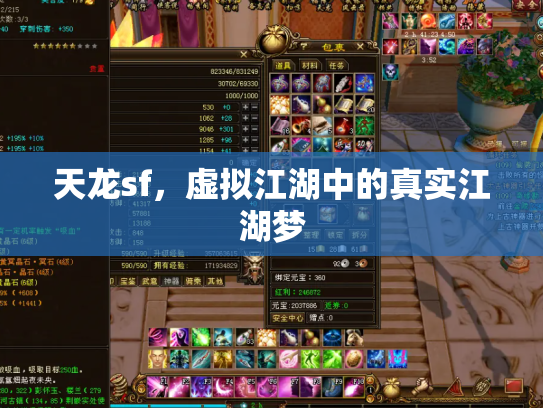 天龙sf，虚拟江湖中的真实江湖梦