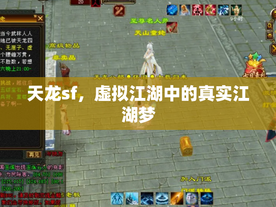 天龙sf，虚拟江湖中的真实江湖梦
