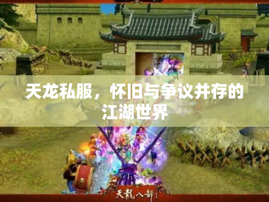 天龙私服，怀旧与争议并存的江湖世界