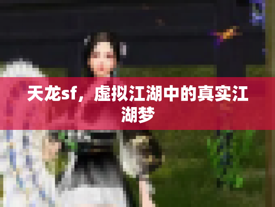 天龙sf，虚拟江湖中的真实江湖梦