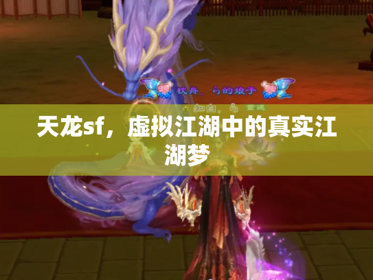 天龙sf，虚拟江湖中的真实江湖梦
