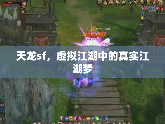 天龙sf，虚拟江湖中的真实江湖梦