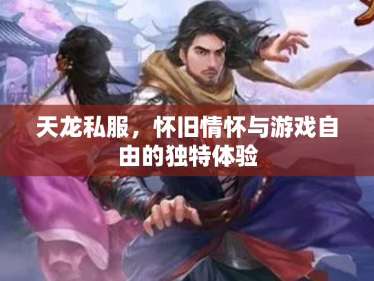 天龙私服，怀旧情怀与游戏自由的独特体验