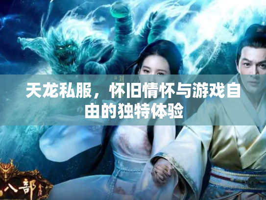 天龙私服，怀旧情怀与游戏自由的独特体验