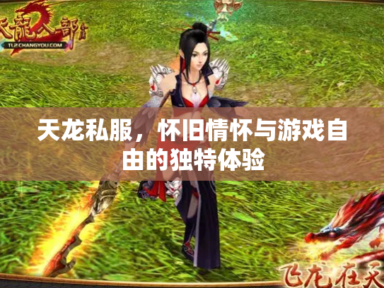 天龙私服，怀旧情怀与游戏自由的独特体验