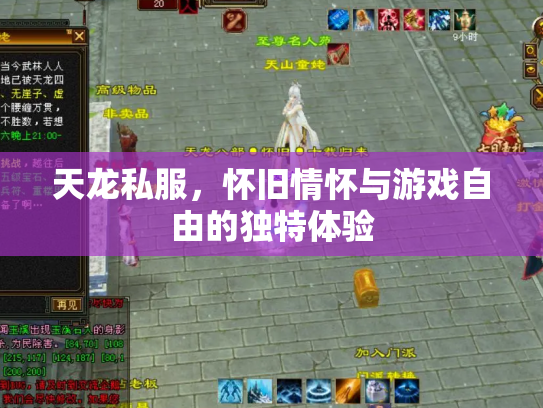 天龙私服，怀旧情怀与游戏自由的独特体验