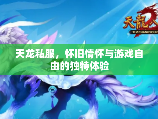 天龙私服，怀旧情怀与游戏自由的独特体验