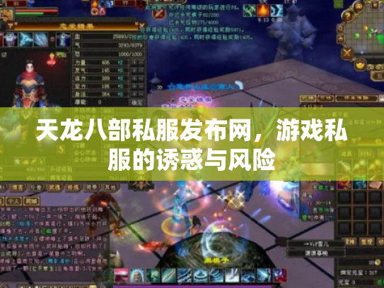 天龙八部私服发布网，游戏私服的诱惑与风险