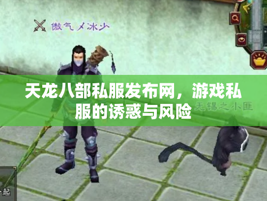 天龙八部私服发布网，游戏私服的诱惑与风险