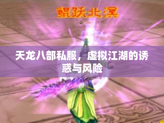 天龙八部私服，虚拟江湖的诱惑与风险