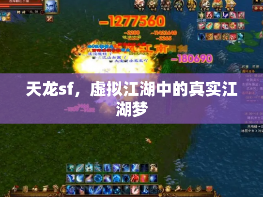 天龙sf，虚拟江湖中的真实江湖梦