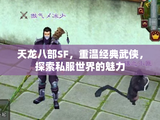 天龙八部SF，重温经典武侠，探索私服世界的魅力