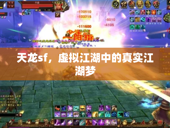 天龙sf，虚拟江湖中的真实江湖梦