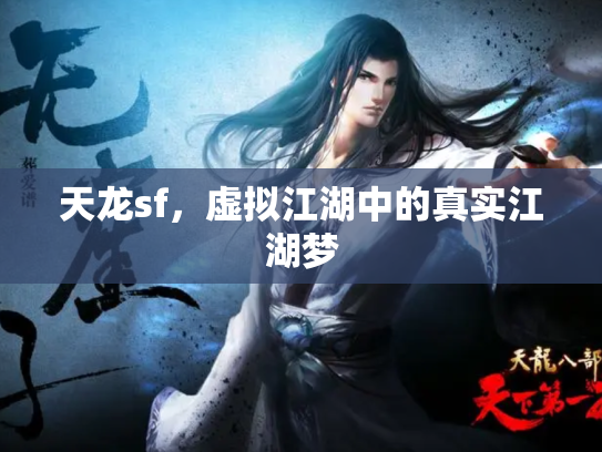 天龙sf，虚拟江湖中的真实江湖梦