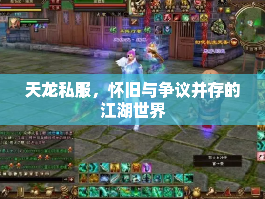 天龙私服，怀旧与争议并存的江湖世界