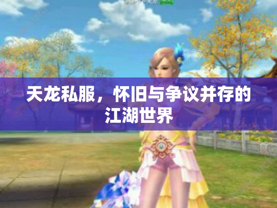 天龙私服，怀旧与争议并存的江湖世界