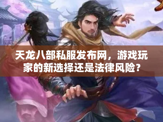 天龙八部私服发布网，游戏玩家的新选择还是法律风险？