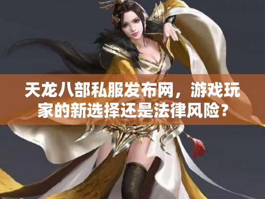 天龙八部私服发布网，游戏玩家的新选择还是法律风险？