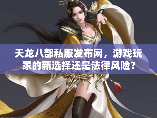 天龙八部私服发布网，游戏玩家的新选择还是法律风险？