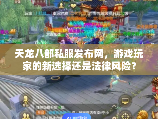 天龙八部私服发布网，游戏玩家的新选择还是法律风险？