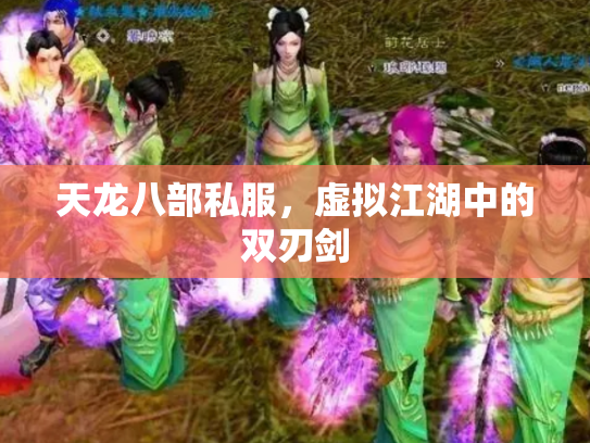 天龙八部私服，虚拟江湖中的双刃剑