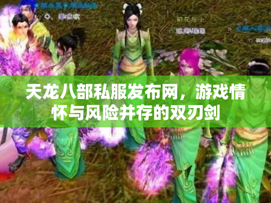 天龙八部私服发布网，游戏情怀与风险并存的双刃剑