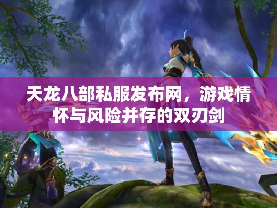 天龙八部私服发布网，游戏情怀与风险并存的双刃剑