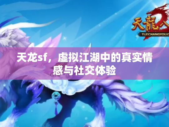 天龙sf，虚拟江湖中的真实情感与社交体验