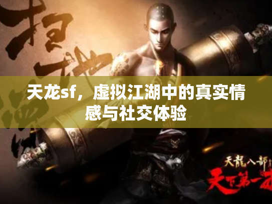 天龙sf，虚拟江湖中的真实情感与社交体验