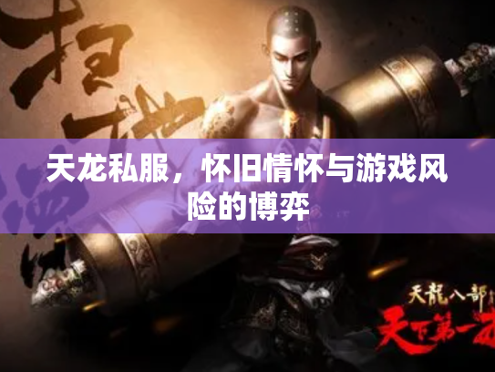 天龙私服，怀旧情怀与游戏风险的博弈