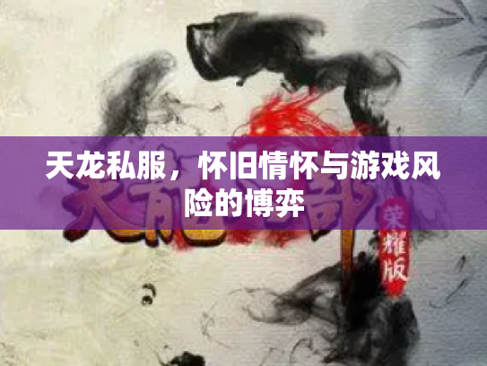 天龙私服，怀旧情怀与游戏风险的博弈