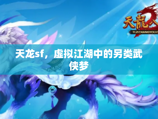 天龙sf，虚拟江湖中的另类武侠梦