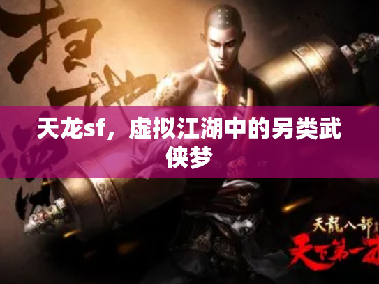 天龙sf，虚拟江湖中的另类武侠梦