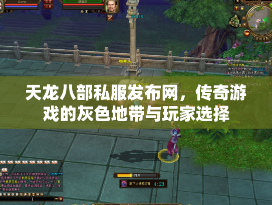 天龙八部私服发布网，传奇游戏的灰色地带与玩家选择