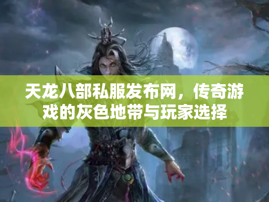 天龙八部私服发布网，传奇游戏的灰色地带与玩家选择