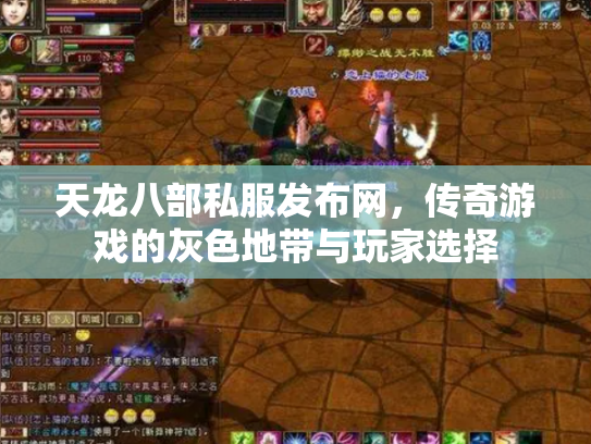 天龙八部私服发布网，传奇游戏的灰色地带与玩家选择